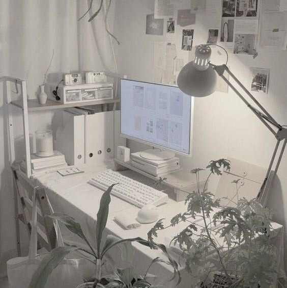 게시글 대표 이미지