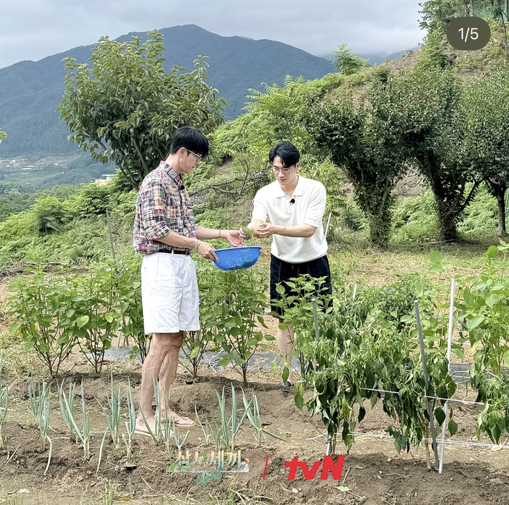 게시글 대표 이미지