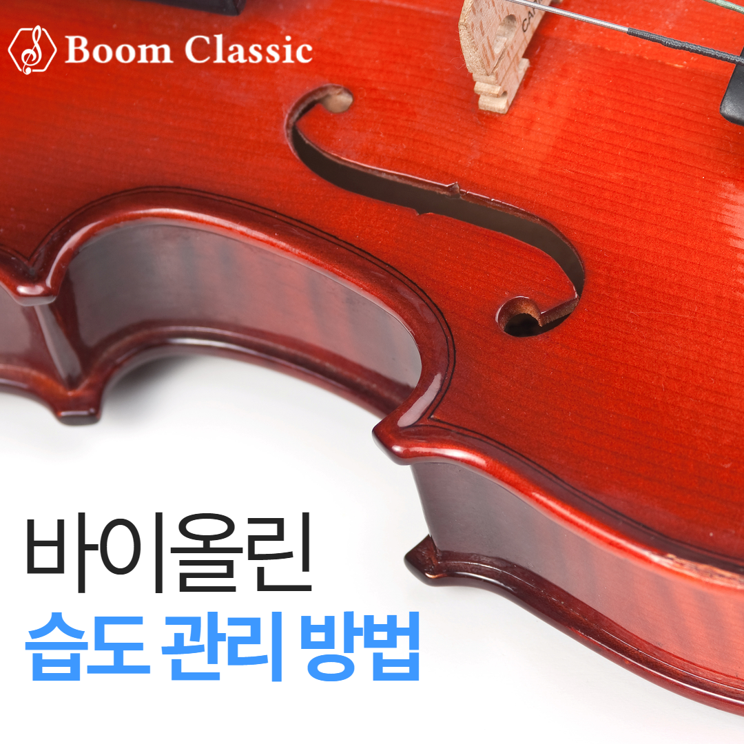 게시글 대표 이미지