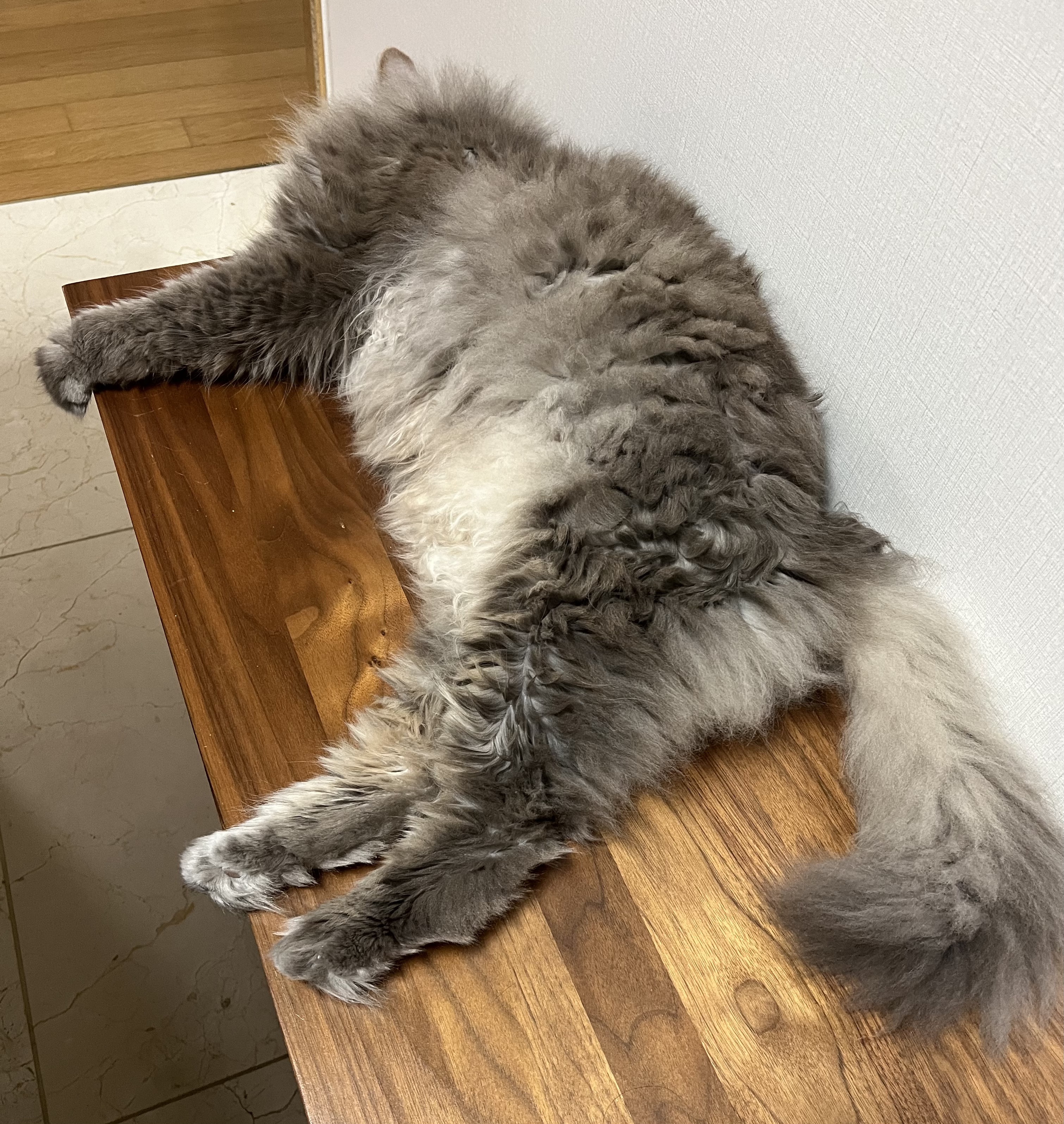 게시글 대표 이미지