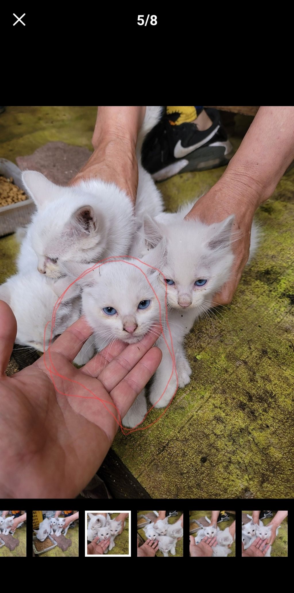 게시글 대표 이미지