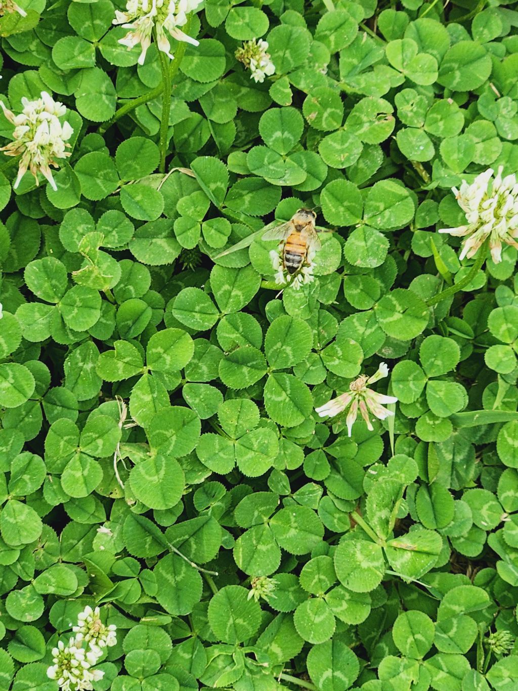 게시글 대표 이미지