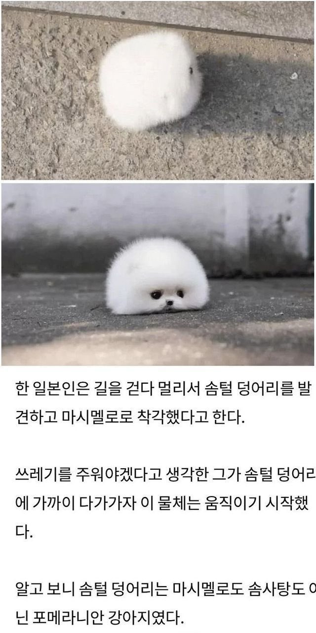 게시글 대표 이미지