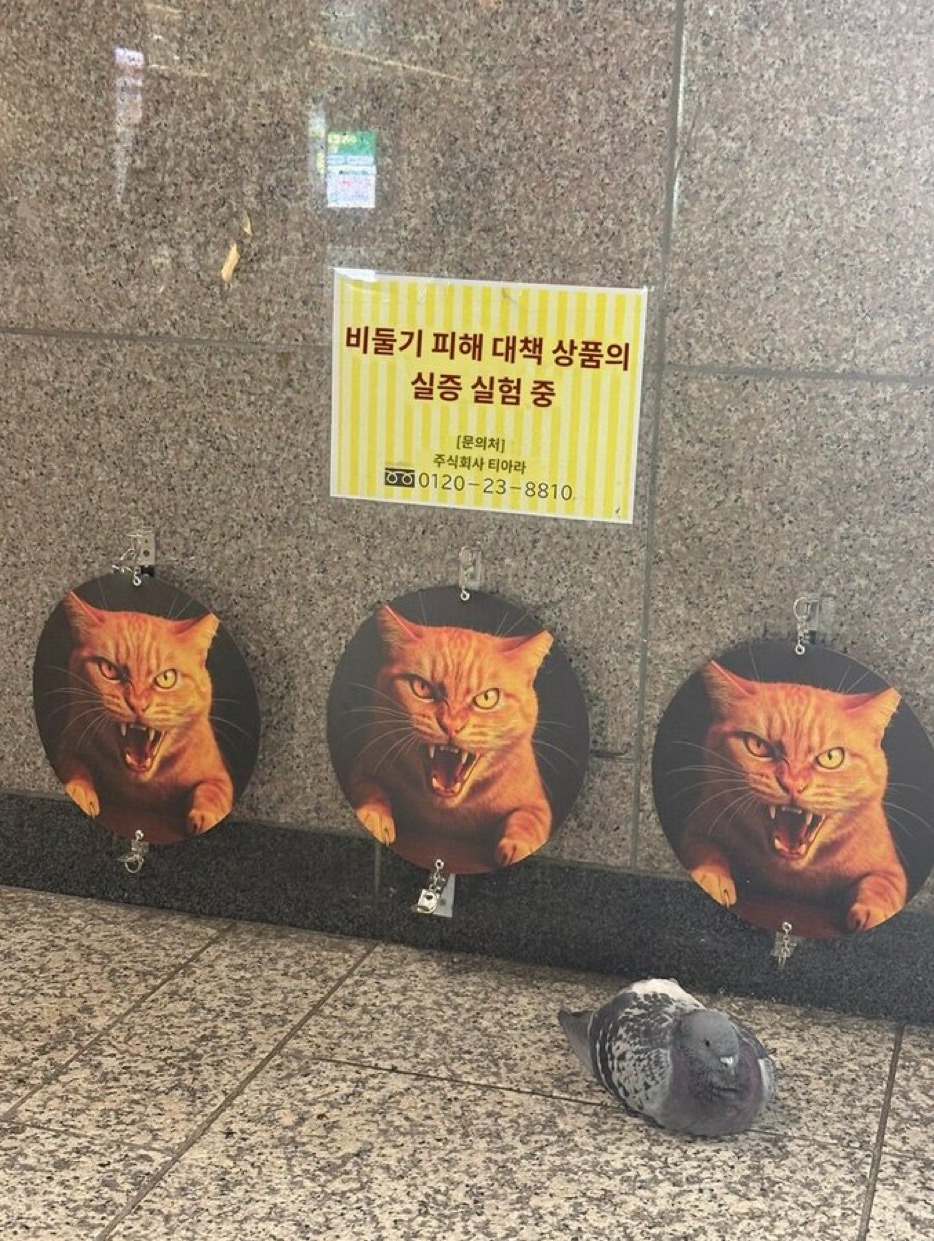 게시글 대표 이미지