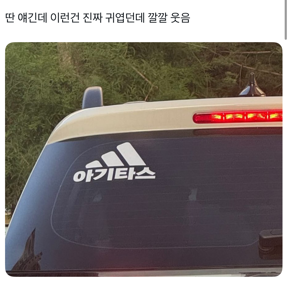 게시글 대표 이미지