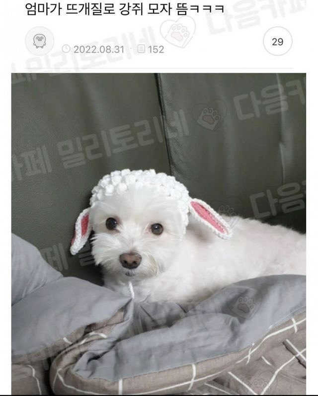 게시글 대표 이미지