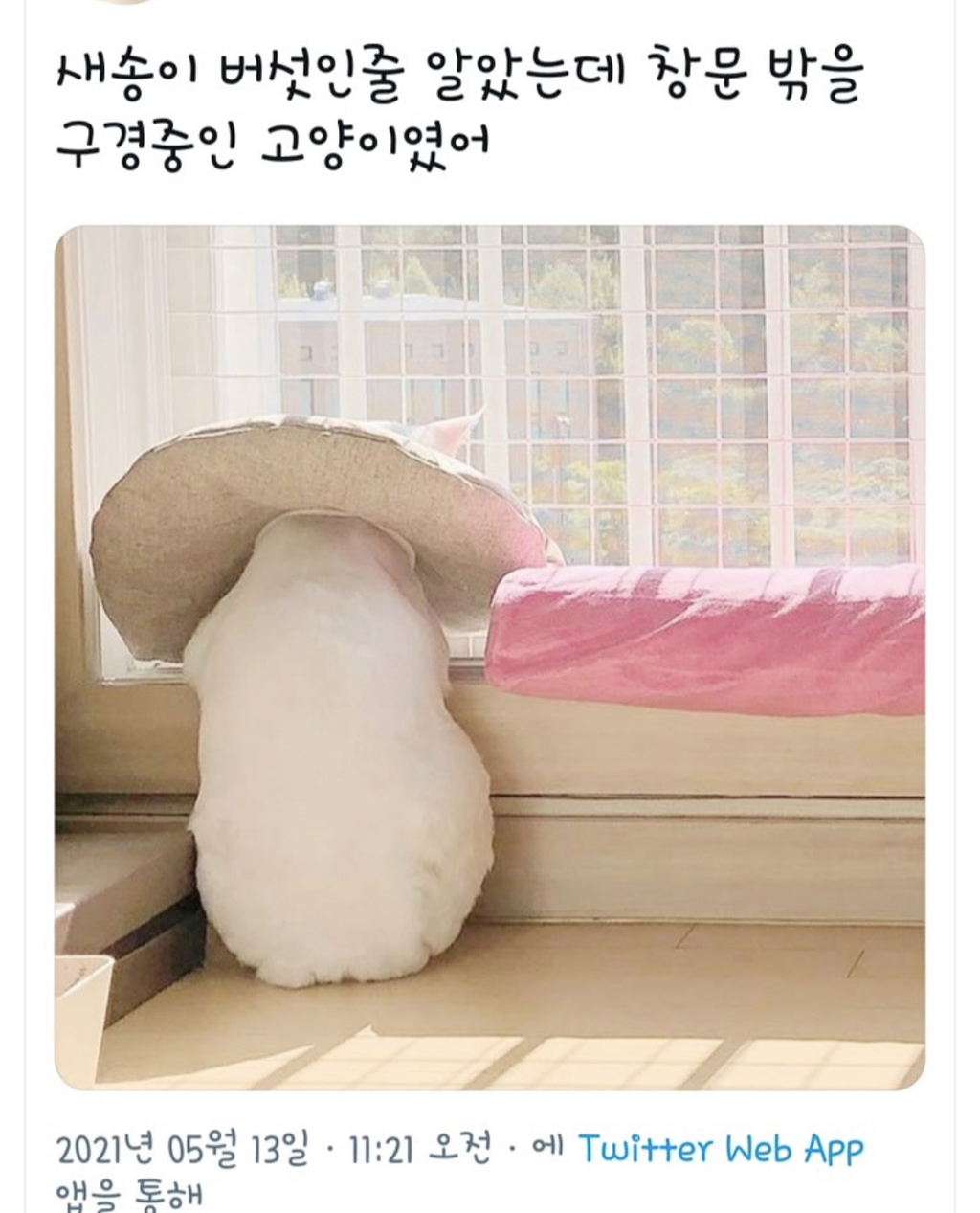 게시글 대표 이미지