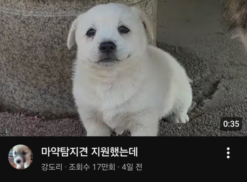 게시글 대표 이미지