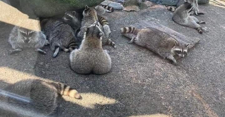 게시글 대표 이미지