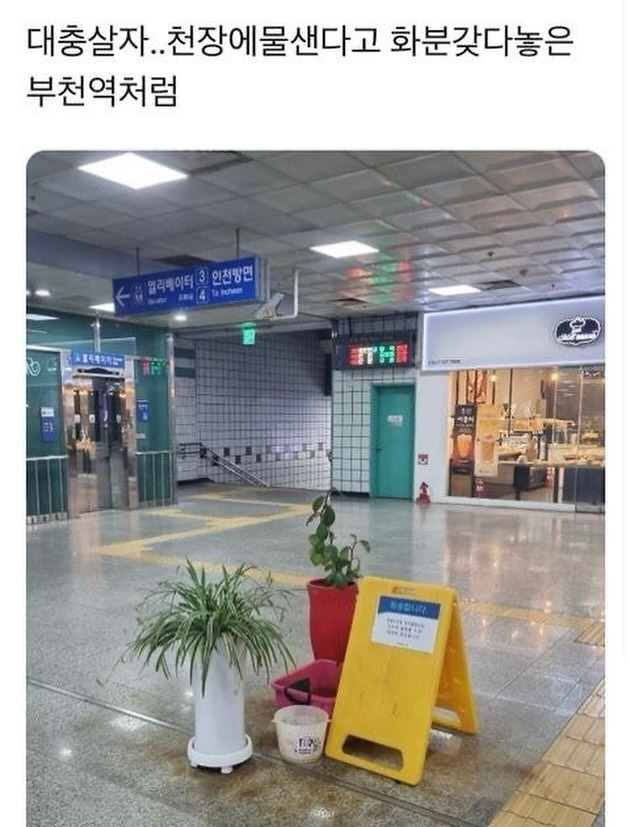 게시글 대표 이미지