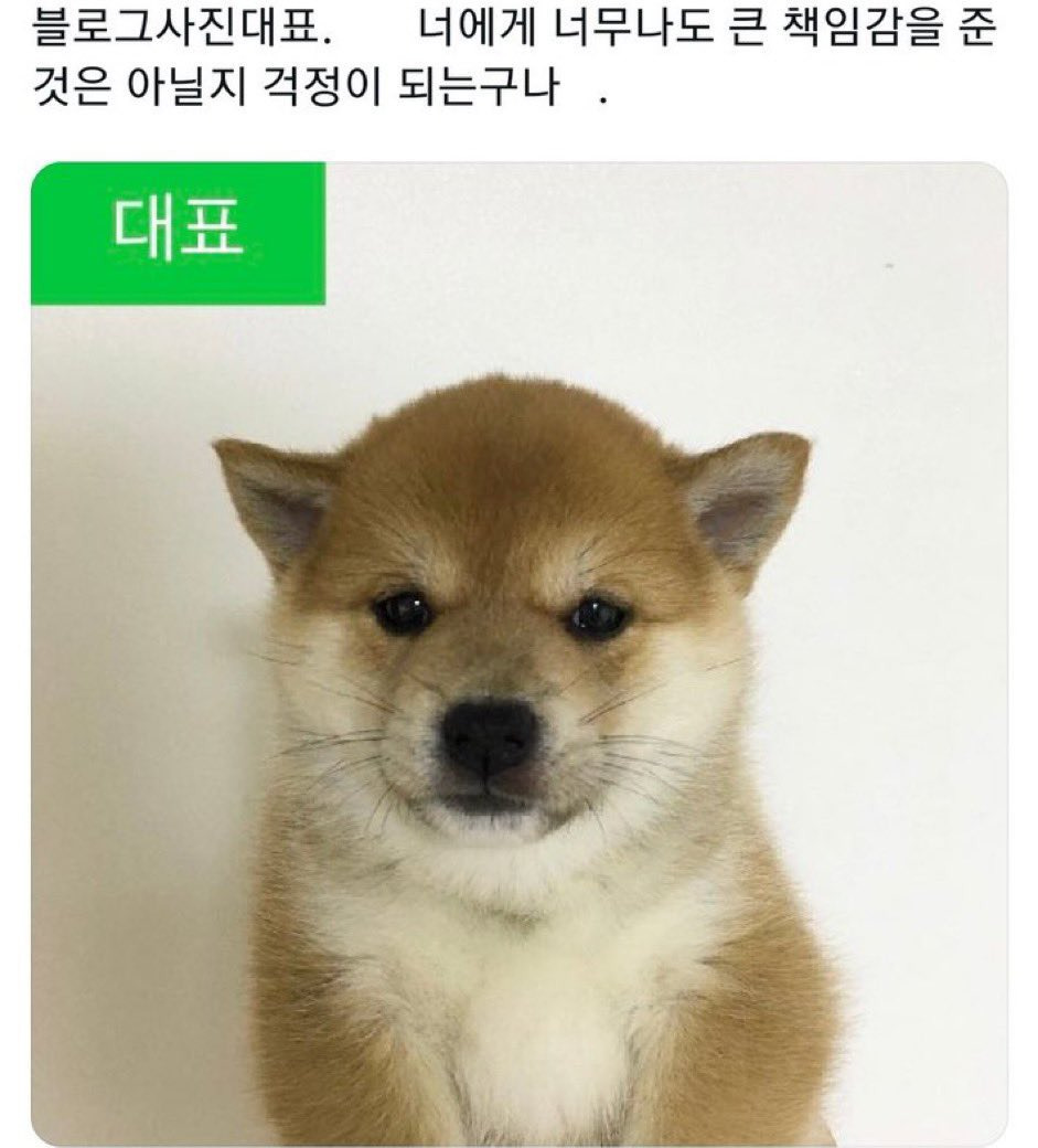 대표이미지