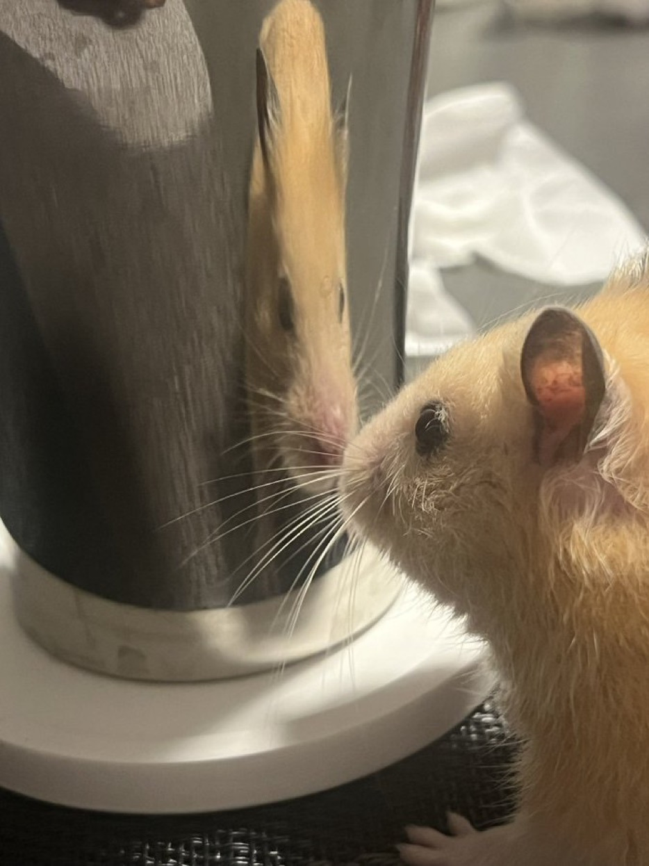 게시글 대표 이미지