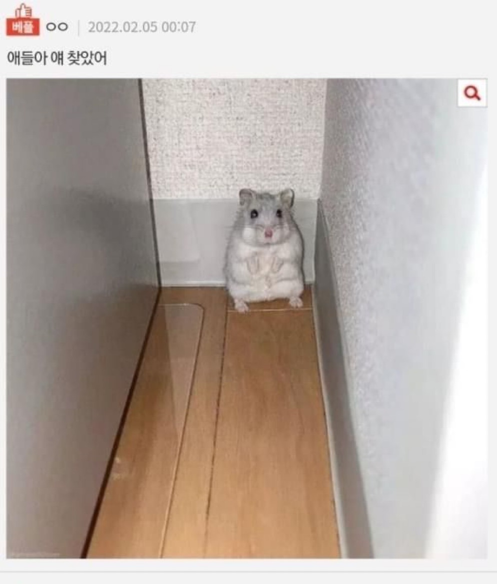 게시글 대표 이미지