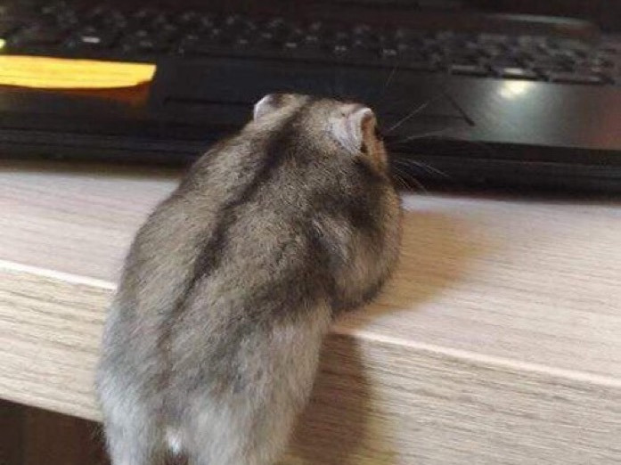 게시글 대표 이미지