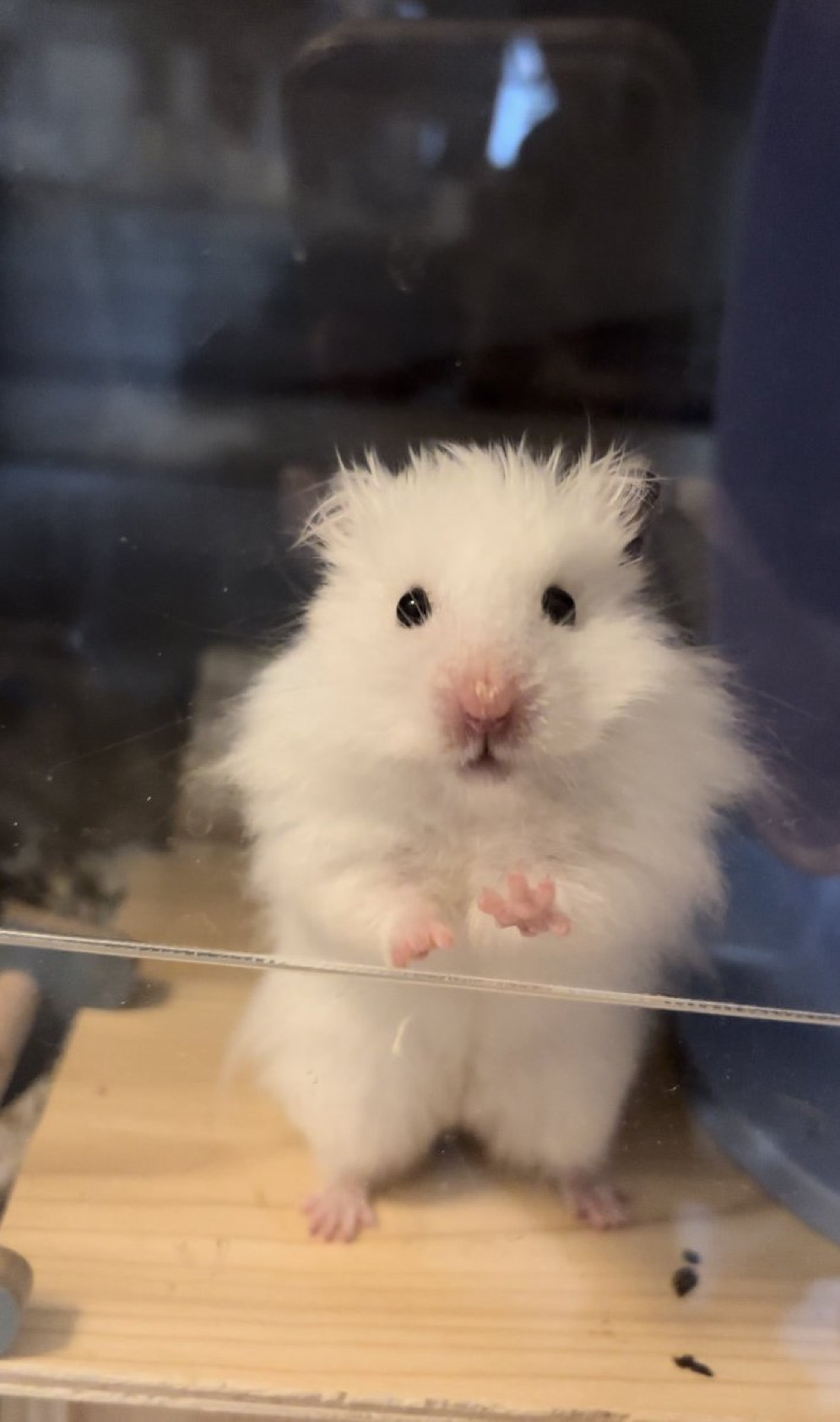 게시글 대표 이미지