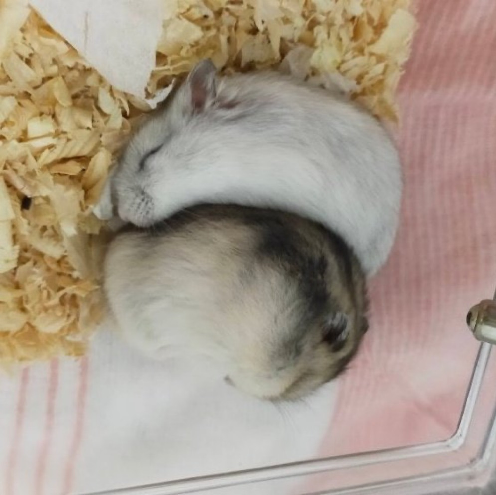 게시글 대표 이미지