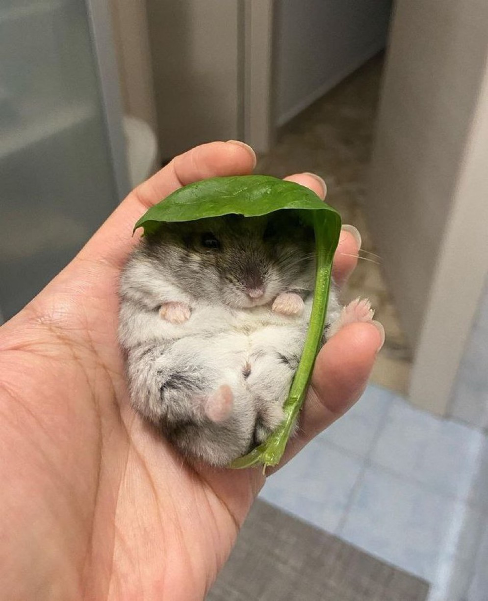 게시글 대표 이미지