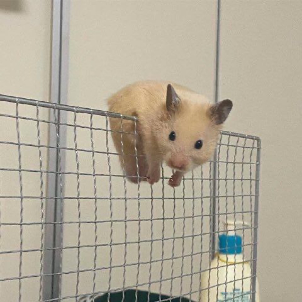 게시글 대표 이미지