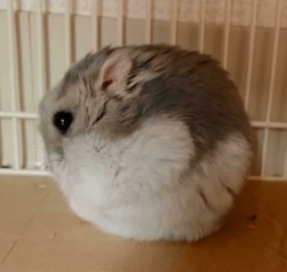 게시글 대표 이미지