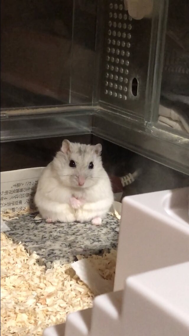 게시글 대표 이미지