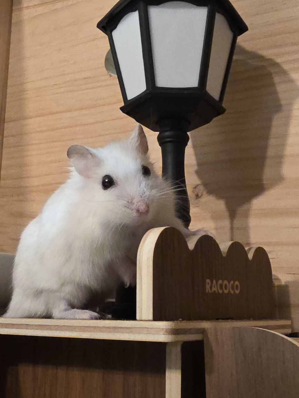 게시글 대표 이미지