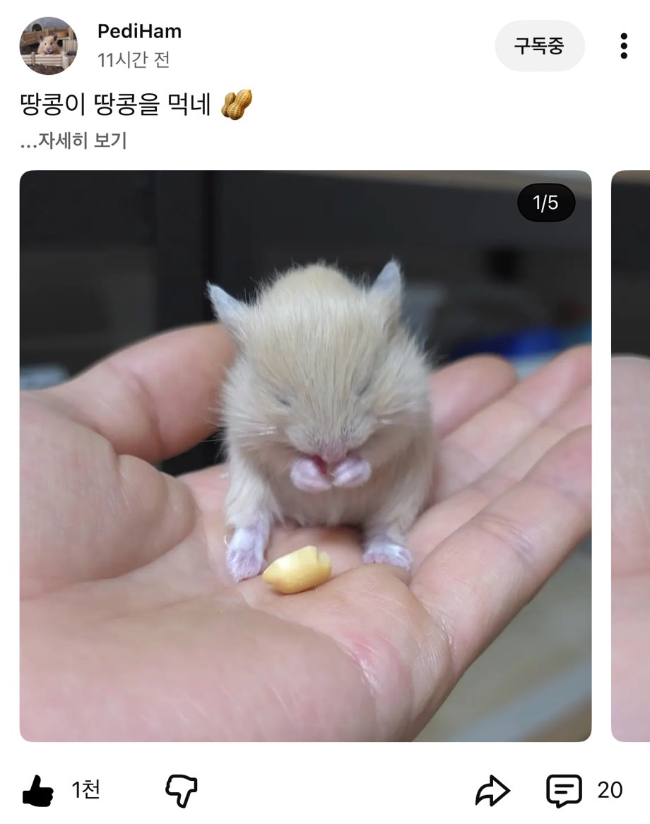 게시글 대표 이미지