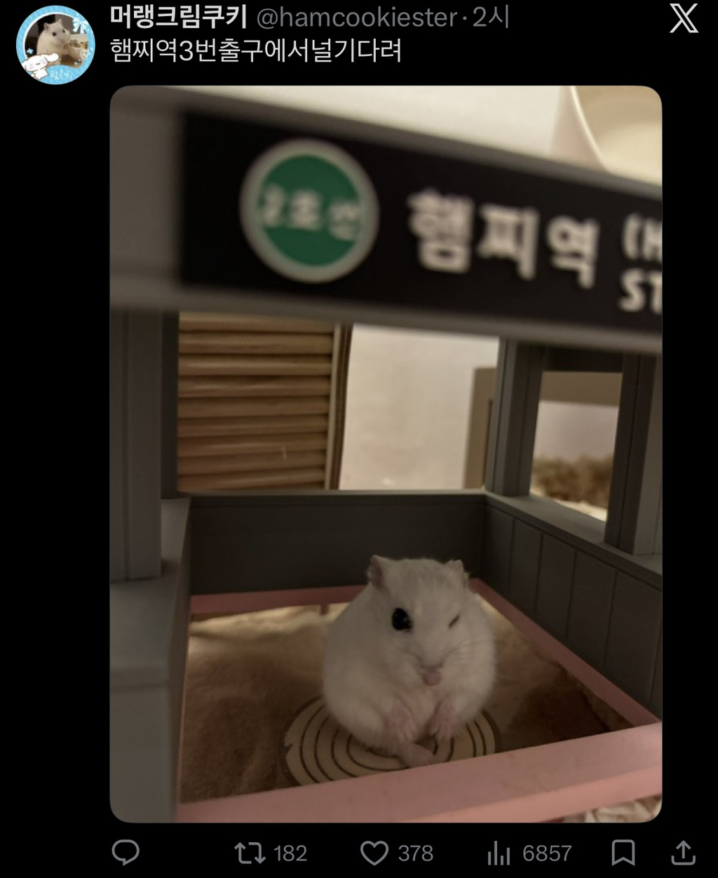 게시글 대표 이미지
