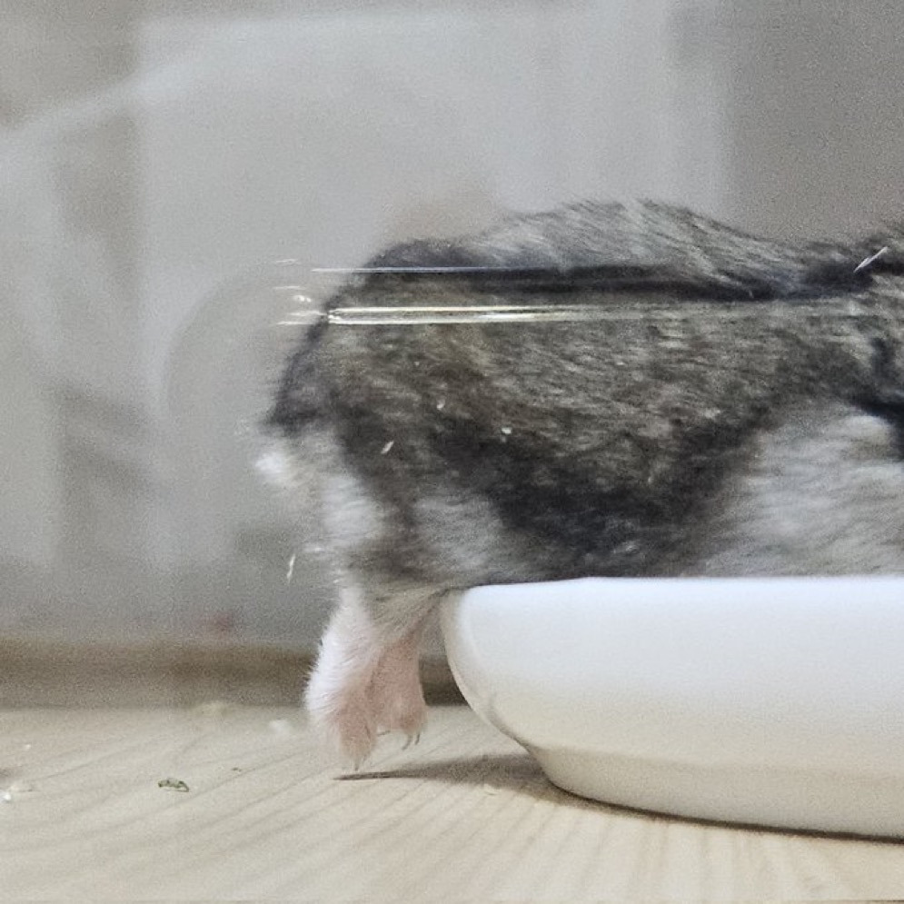 게시글 대표 이미지