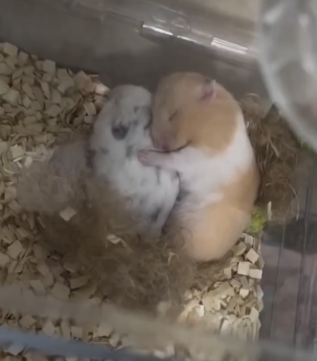 게시글 대표 이미지