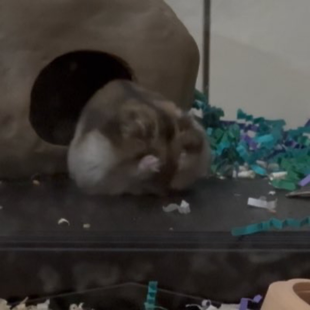 게시글 대표 이미지