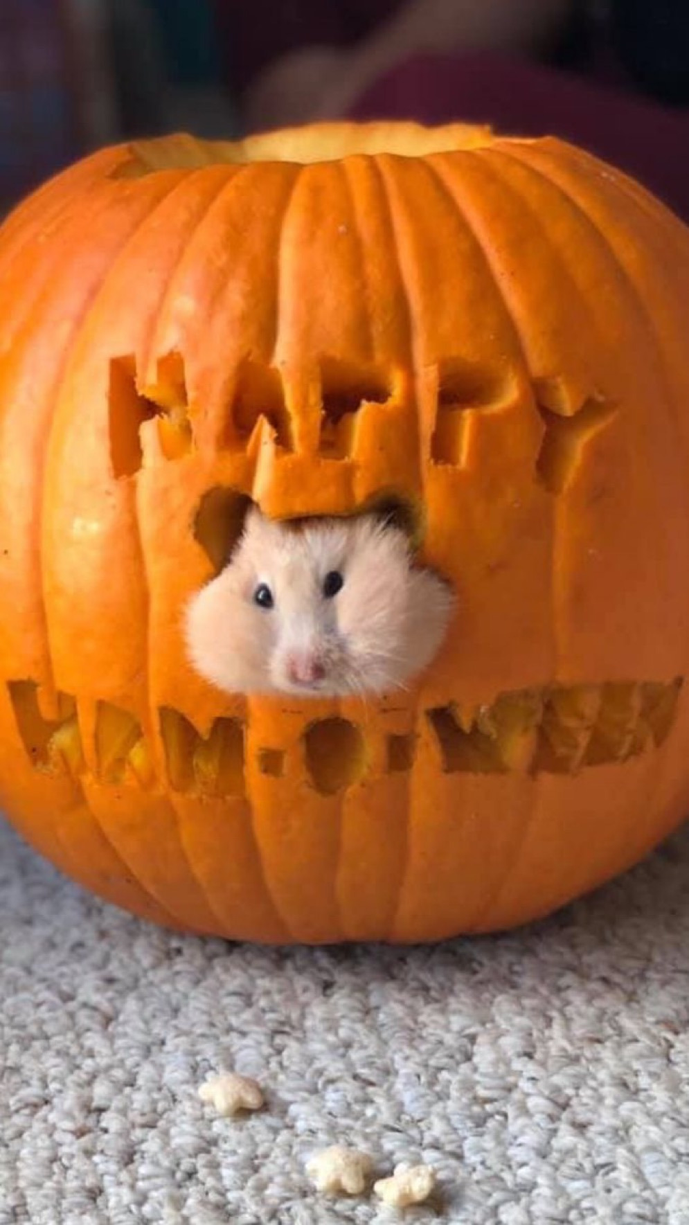 게시글 대표 이미지