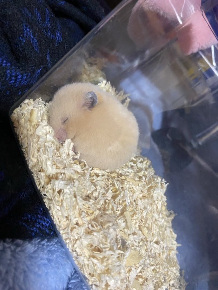 게시글 대표 이미지