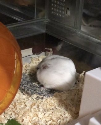 게시글 대표 이미지