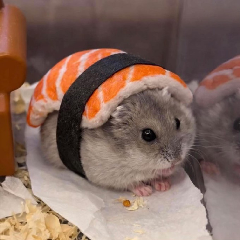 게시글 대표 이미지