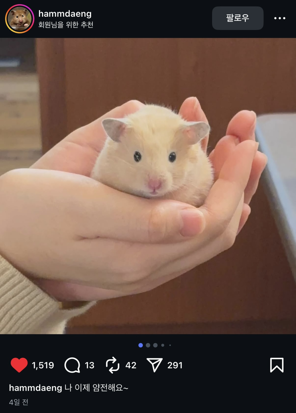 게시글 대표 이미지