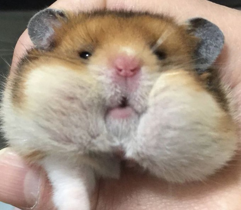 게시글 대표 이미지