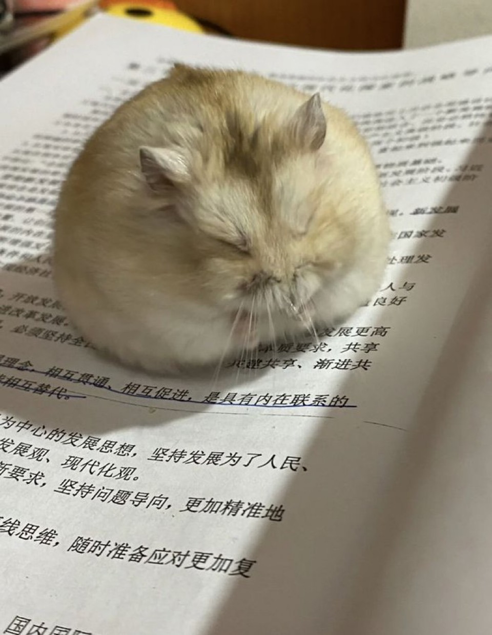 게시글 대표 이미지