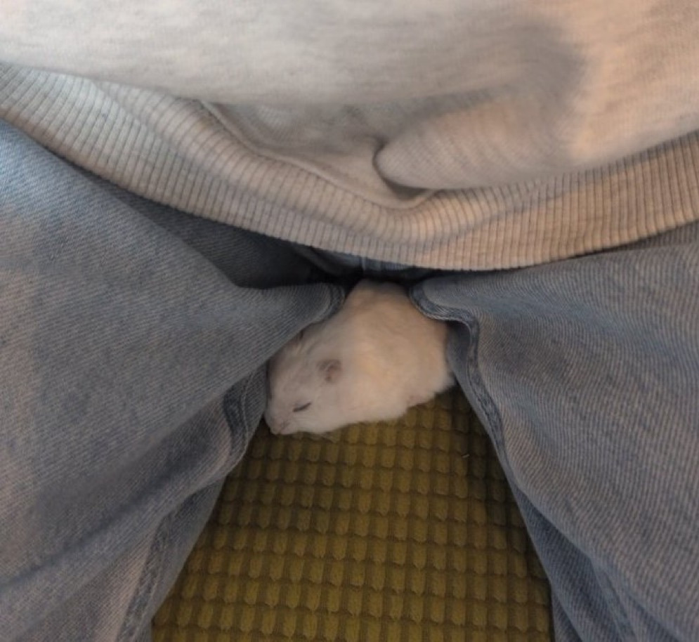 게시글 대표 이미지