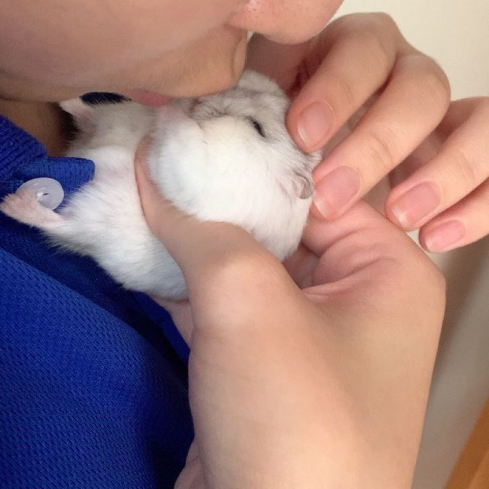 게시글 대표 이미지