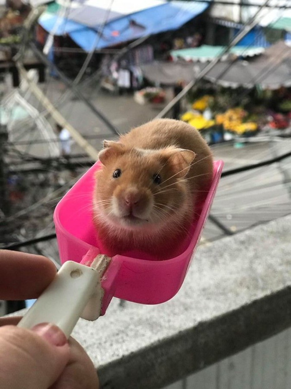 게시글 대표 이미지