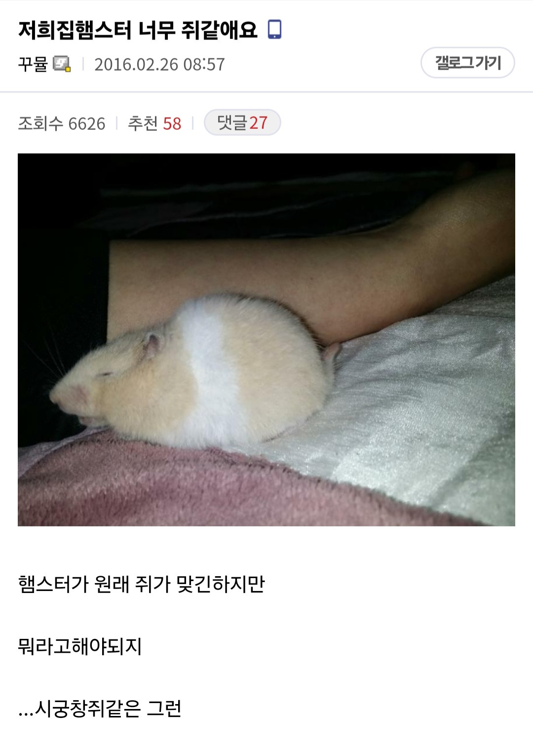 대표이미지