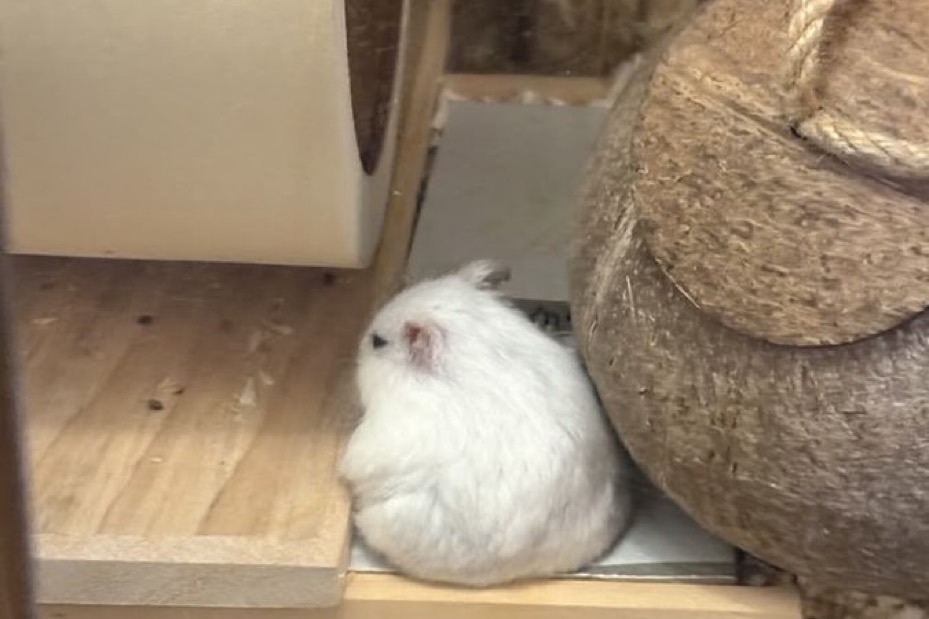 게시글 대표 이미지