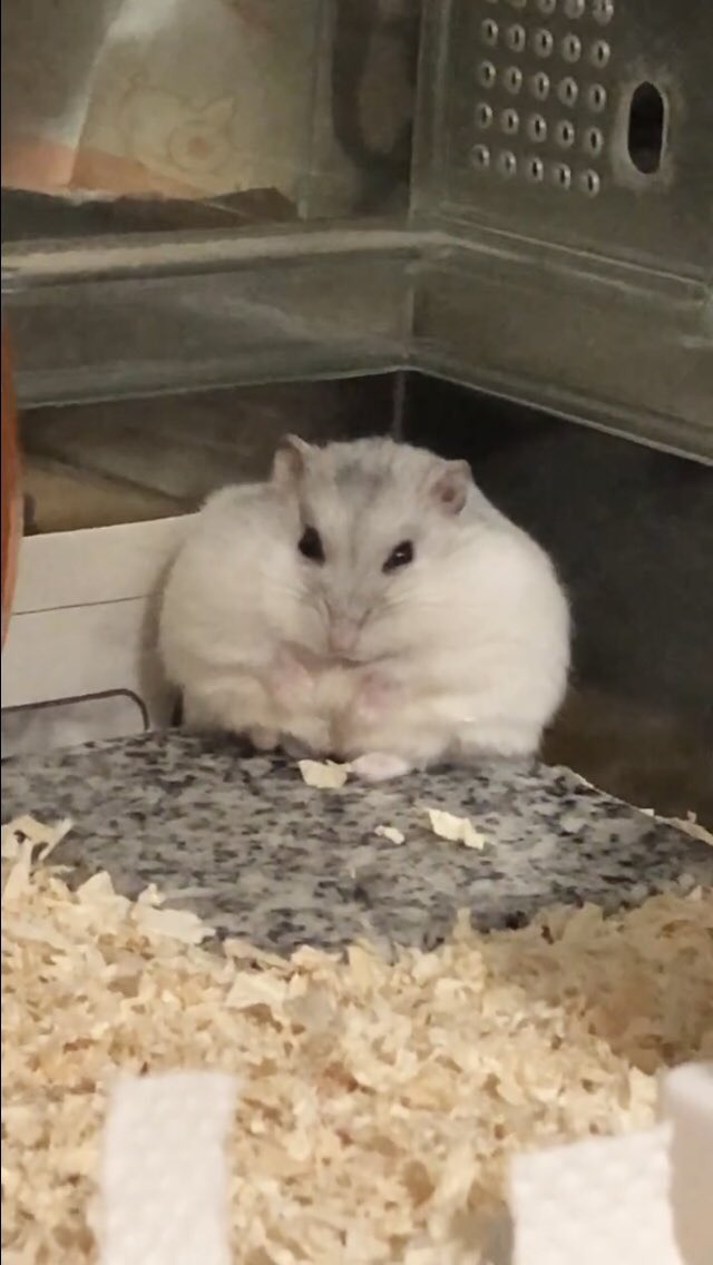 게시글 대표 이미지