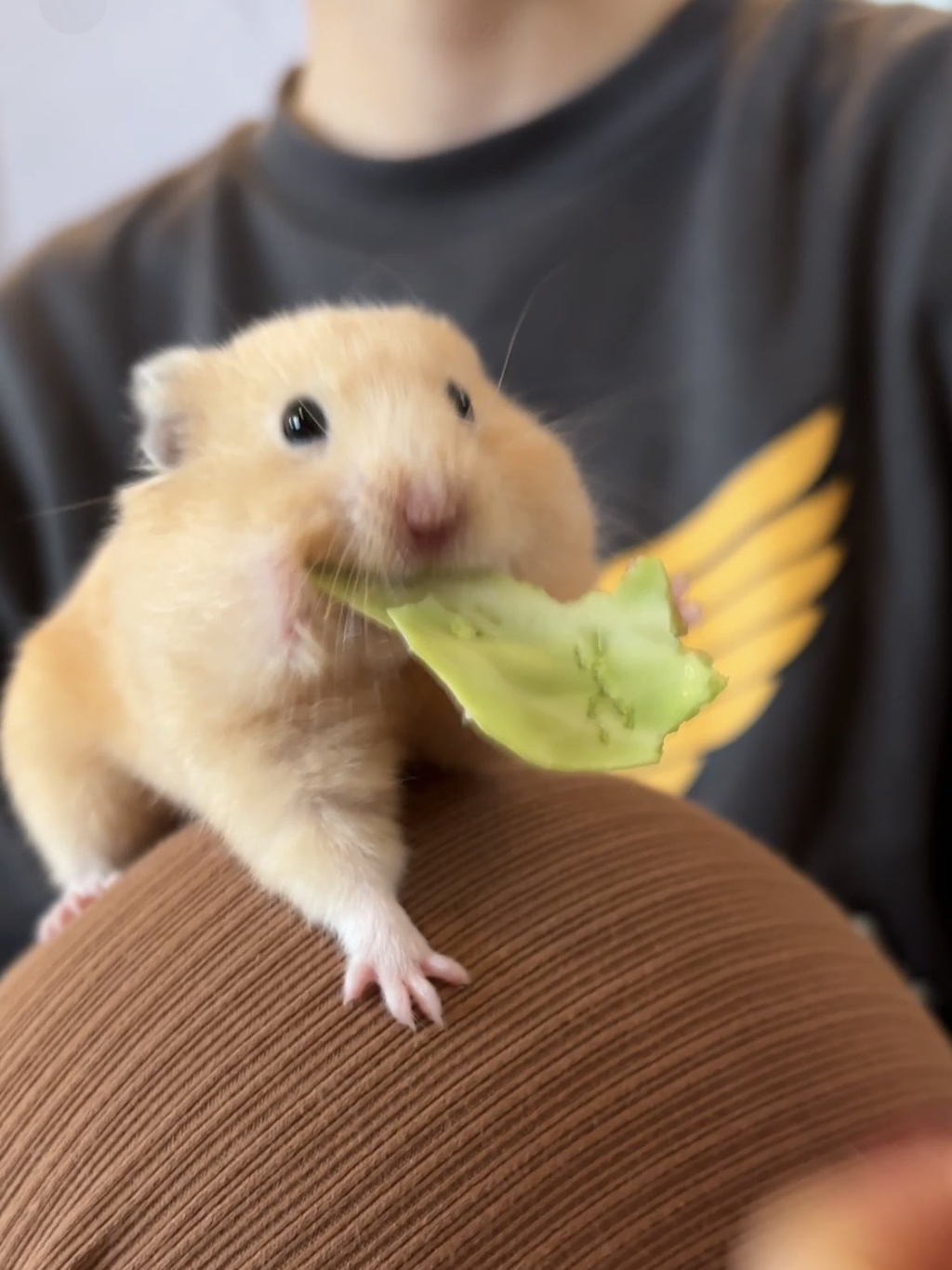 게시글 대표 이미지