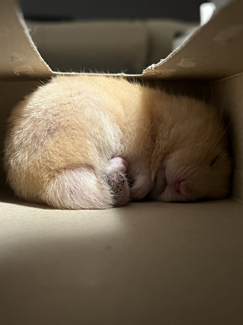 게시글 대표 이미지