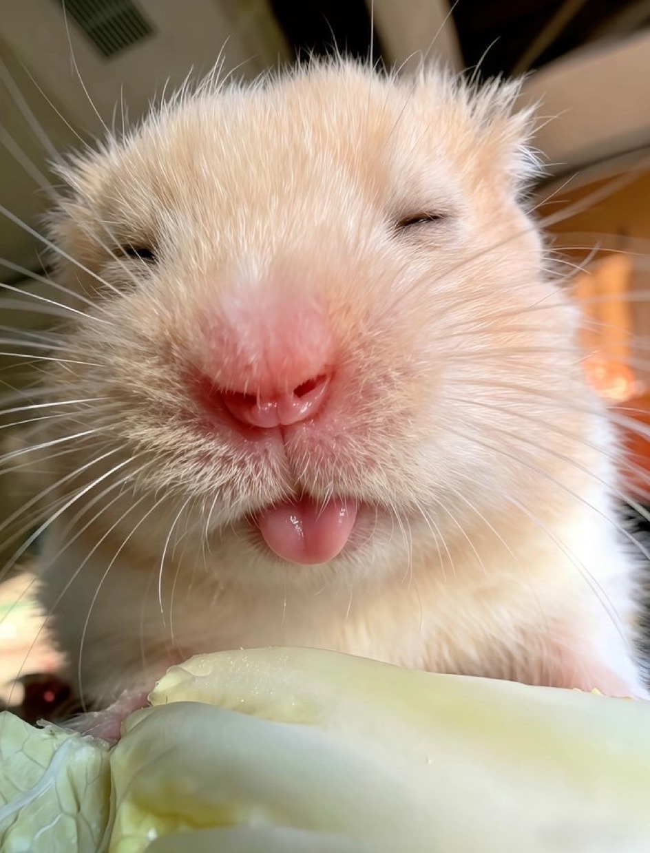 게시글 대표 이미지