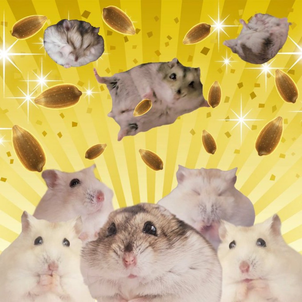 게시글 대표 이미지