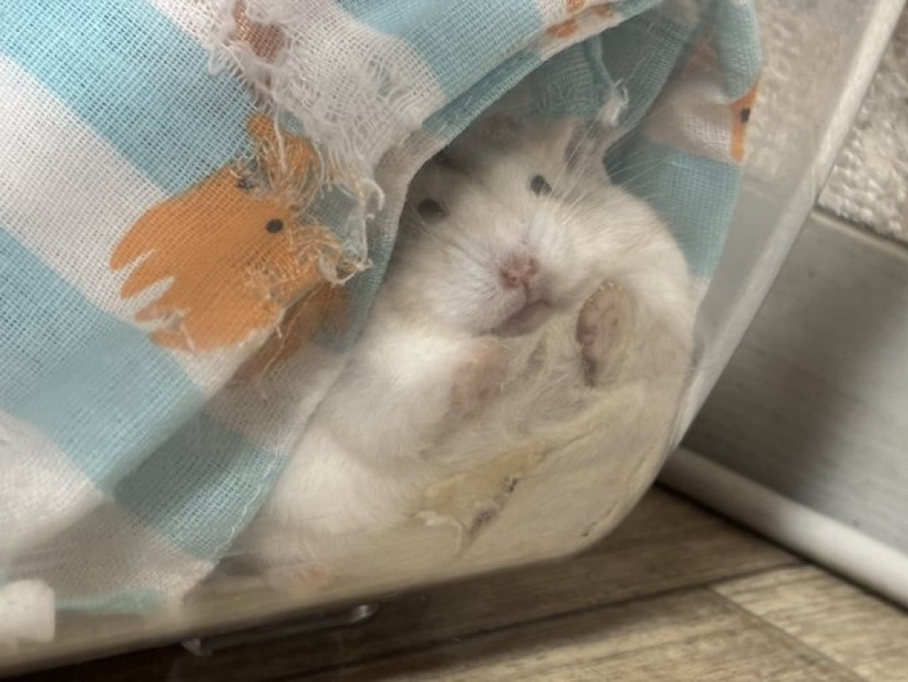 게시글 대표 이미지