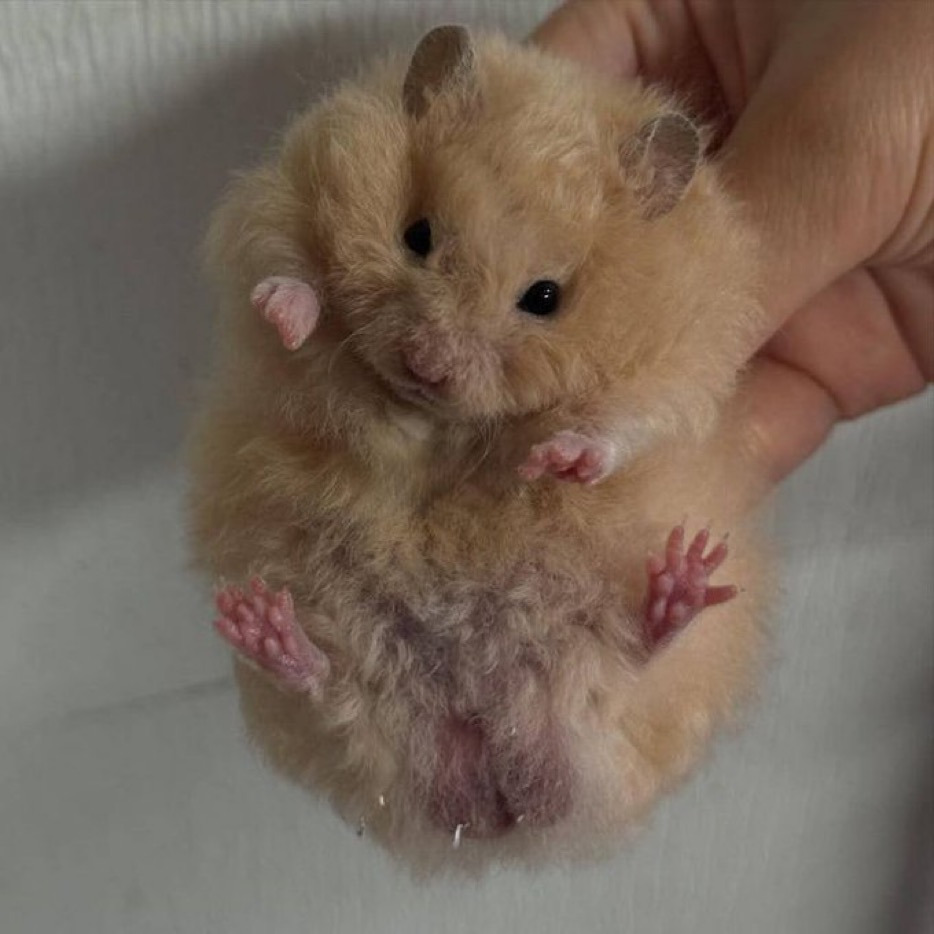 게시글 대표 이미지