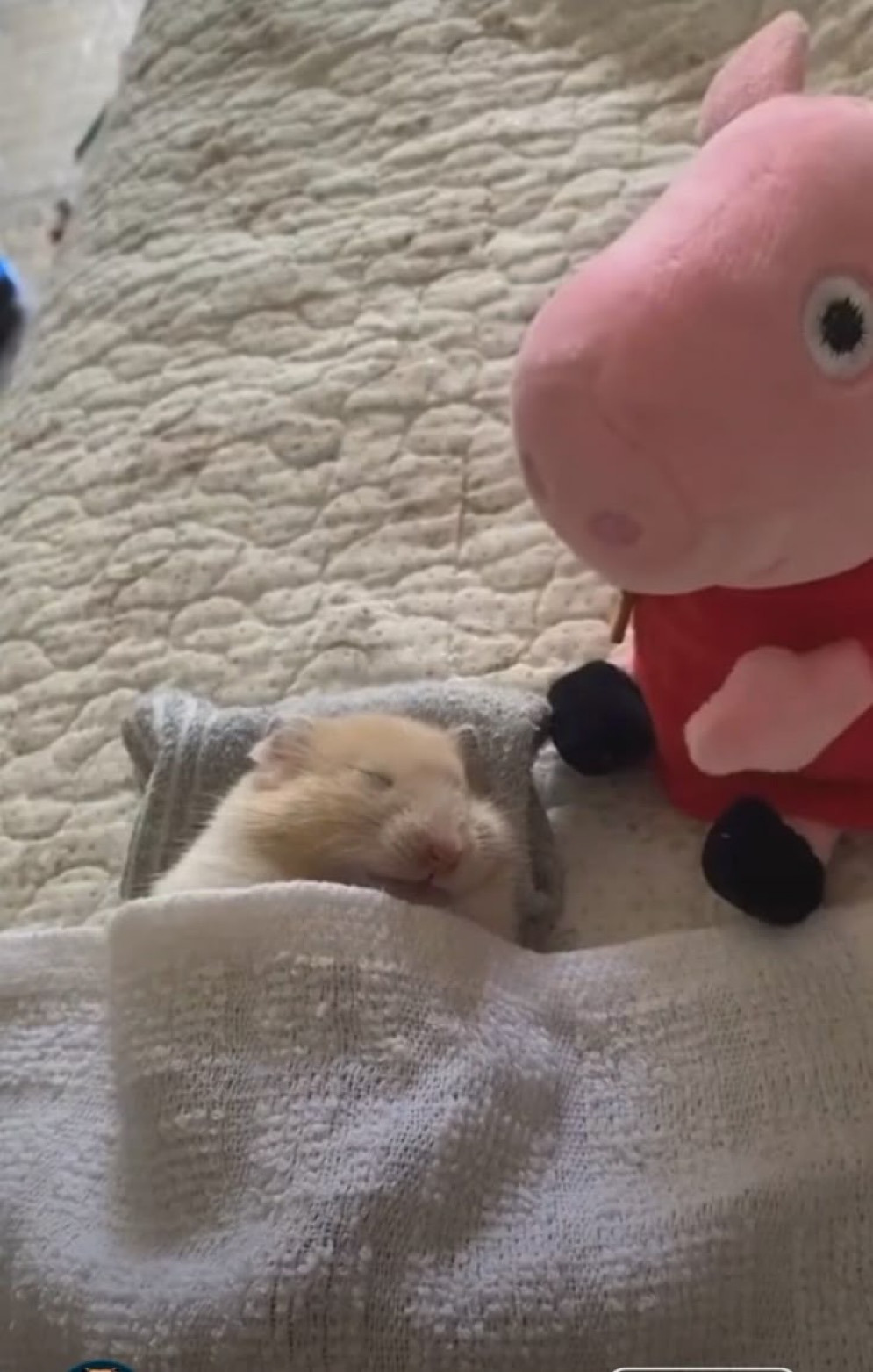 게시글 대표 이미지